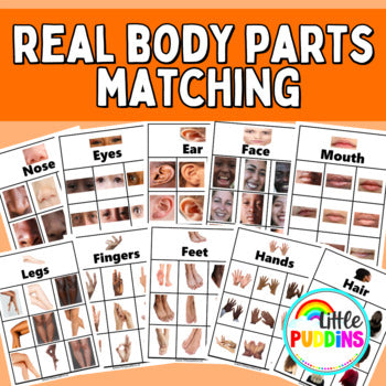 Real Picture Body Part Match Activity